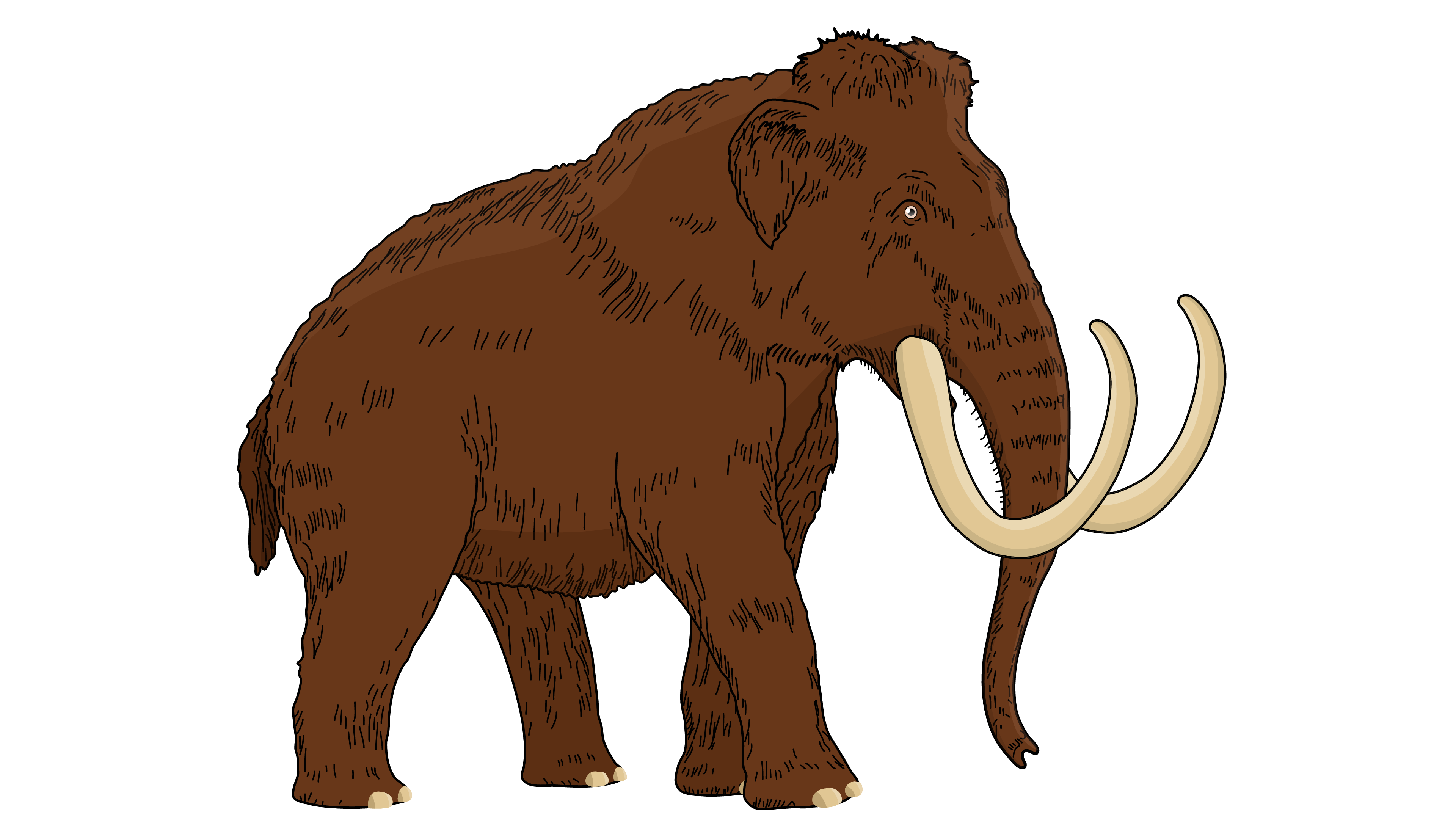 Mamut banner